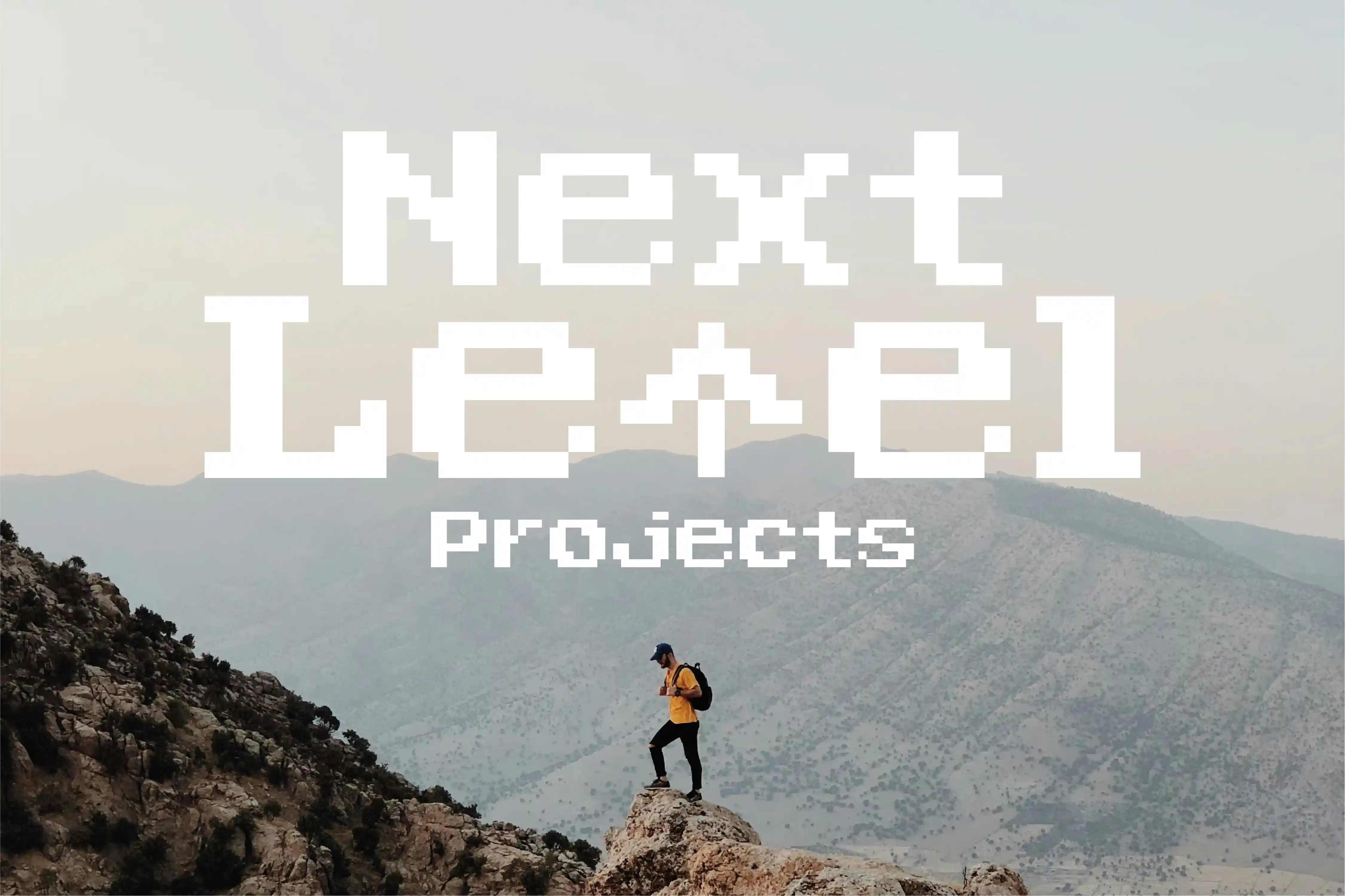 Next Level Projects